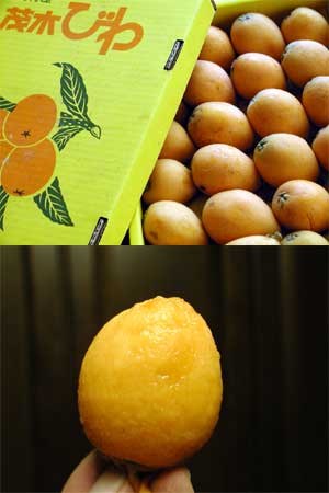 biwa03.jpg