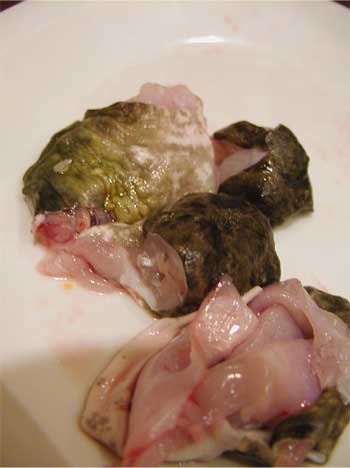 蛙のフレッシュな肉