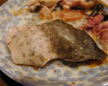 皮はいかにも蛙と言う感じ