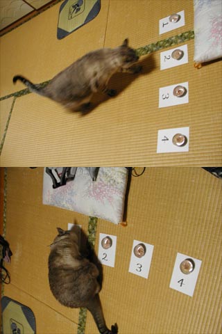 lottery02.jpg